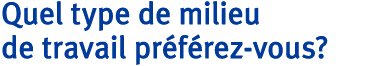 Quel type de milieu de travail préférez-vous&nbsp;?