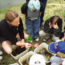 Support for Environmental EDUCATION